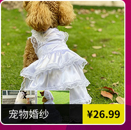 大量批發(fā)寵物衣架 寵物用品 衣架一套(10個)塑料狗狗衣架