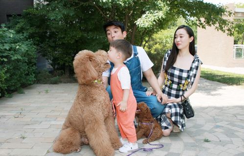 狗狗當“家教” 萌寵叼衣架監督小主人寫作業，神似操心老母親