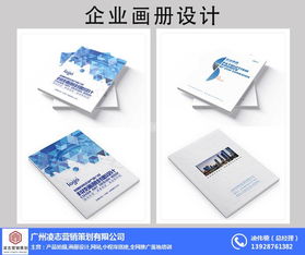 凌志營銷策劃 專業(yè)企業(yè)畫冊設(shè)計與軟件開發(fā)服務(wù)
